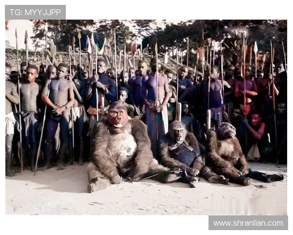 致敬丛林战梅泰森非洲刚果对决